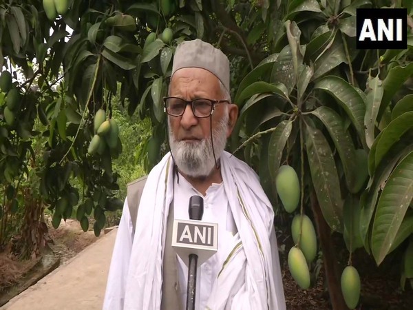 Horticulturist Haji Kalimullah Khan said the best variety of mangoes will be named after Home Minister Amit Shah. Photo/ANI