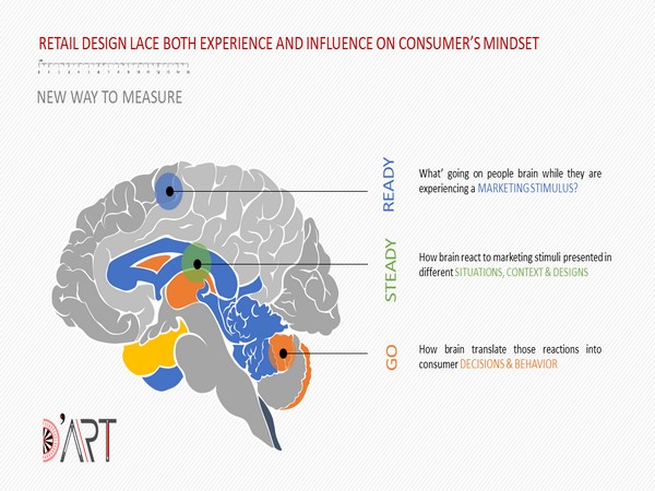 The Cerebral Measure of Experience