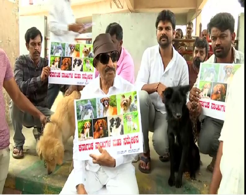 Activist and former MLA Vatal Nagaraj staging a protest along with dogs in Bengaluru. Photo/ANI