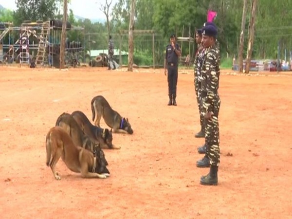 Dogs undergoing training at CRPF's Dog Breeding and Training School in Bengaluru (File Photo)