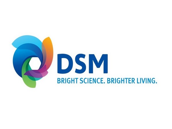 DSM India logo