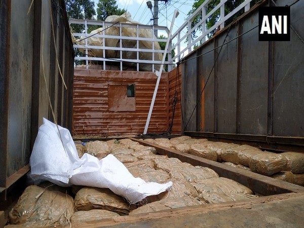 1400 kg cannabis worth over Rs 1.5 crore seized in Narsipatnam (AP)