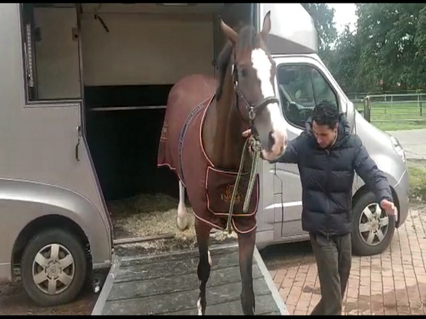 Fouaad Mirza with his new horse, Dajara (file image)