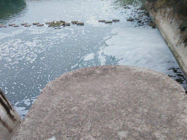 Yamuna River gets polluted (Photo: ANI)