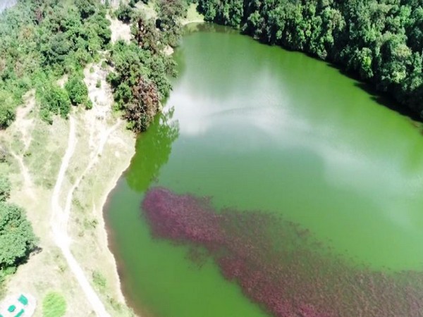 Wetlands play a crucial role in recharging groundwater.
