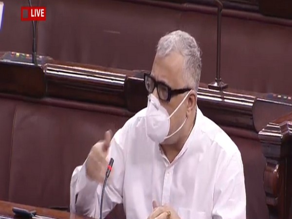 TMC MP Derek O'Brien speaking in the Rajya Sabha on Saturday
