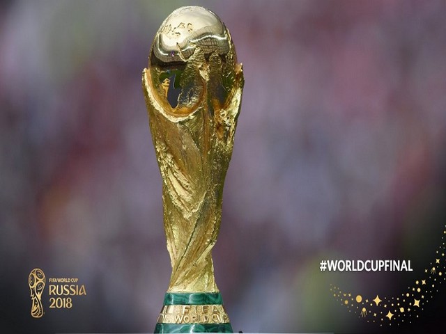 FIFA World Cup Trophy (Photo: Twitter/FIFA World Cup)