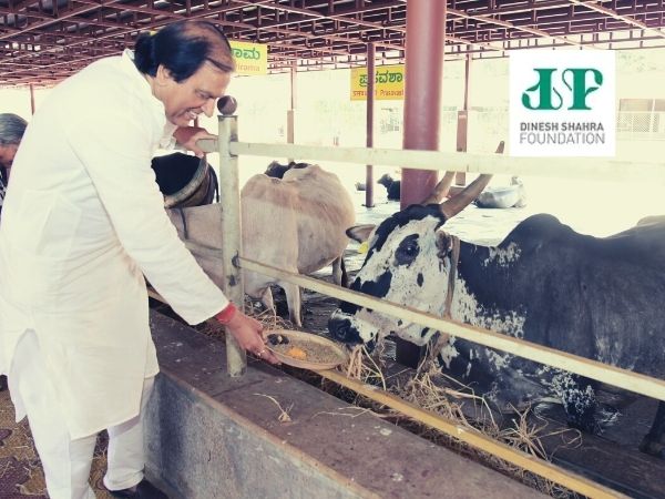 Dinesh Shahra at DSF 'Gau Shakti Abhiyan'