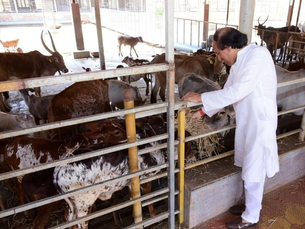 Dinesh Shahra Gaushakti Abhiyaan