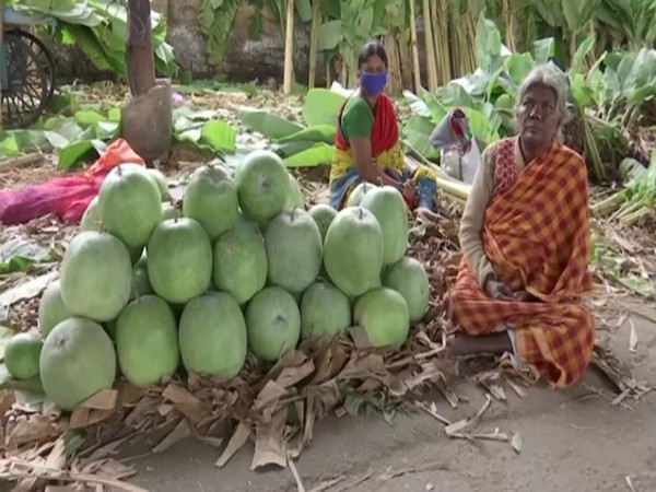 Vendor at a market in Bengaluru (Photo/ANI)