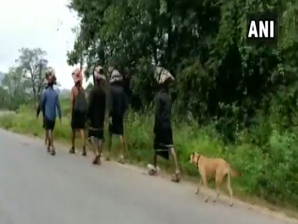 The stray dog walking along with the Sabarimala pilgrims in Karnataka.