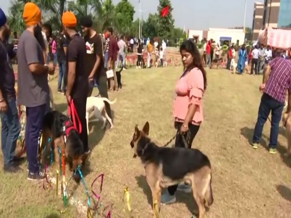 Visuals of Dog Show in Jammu and Kashmir (Photo/ANI)