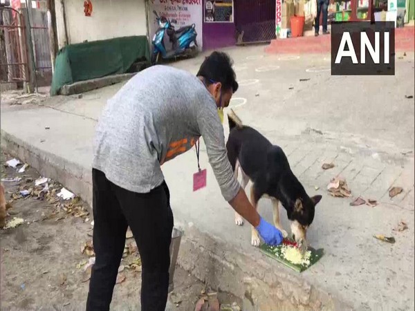 Vineet, co-founder of Animal Welfare People said that their organisation is feeding dogs as all the eateries are closed.