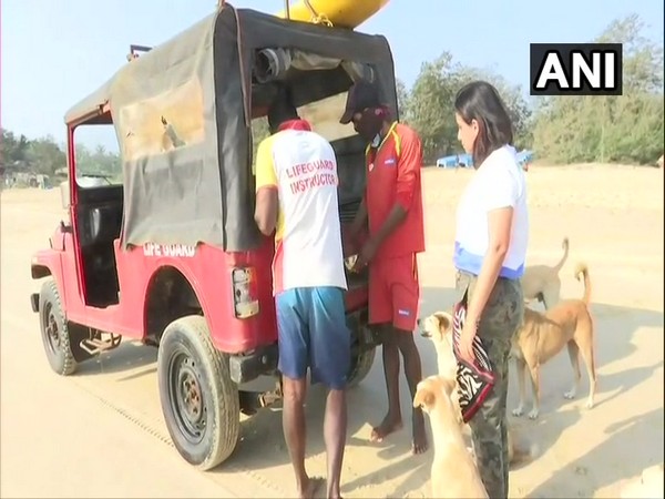 Members of Drishti Lifesaving provide food to stray animals in Goa.