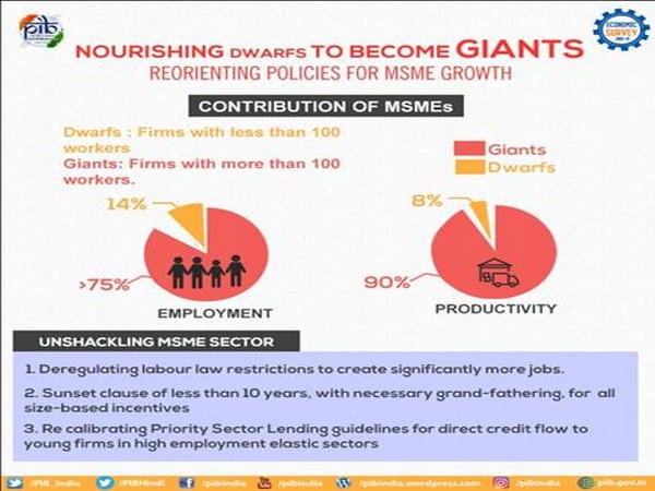 Small firms that have continued to remain small despite aging, have low productivity and low value added in manufacturing. (Graphics: PIB)  