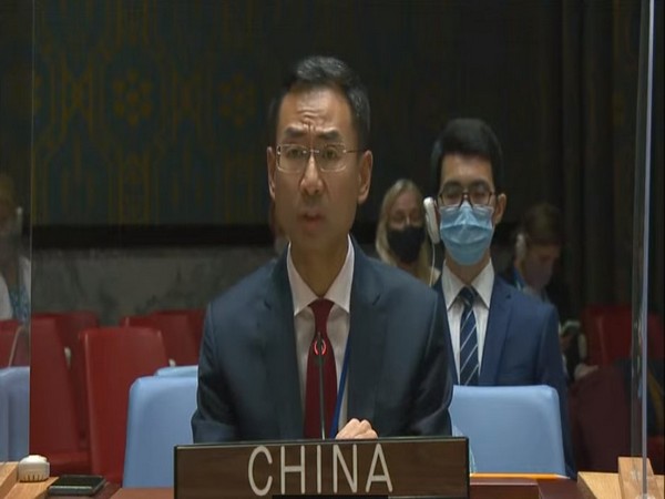 Chinese representative at the UNSC