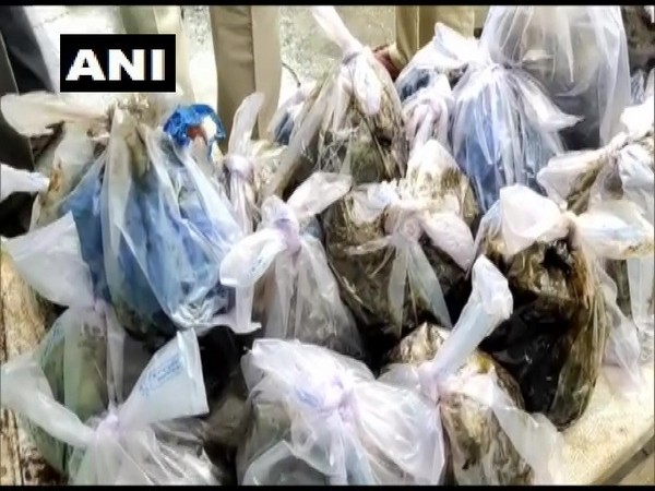 Liquid cannabis seized by police (Photo/ANI)