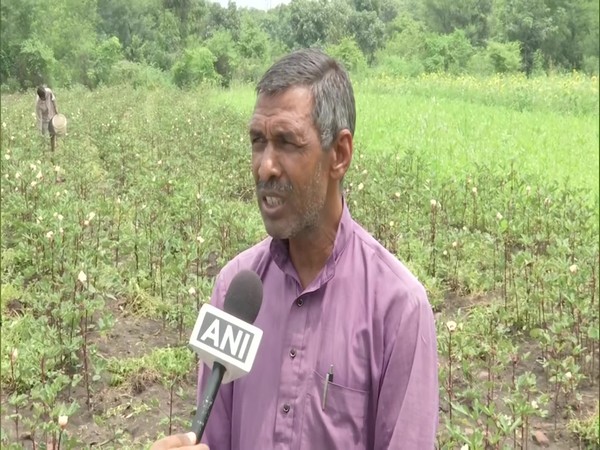 Misrilal Rajput, a red ladyfinger farmer from Bhopal, MP. (Photos/ANI)