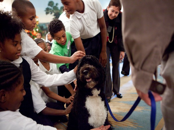 Bo, the first presidential pet in the Obama White House. (Source: Barack Obama/Twitter)