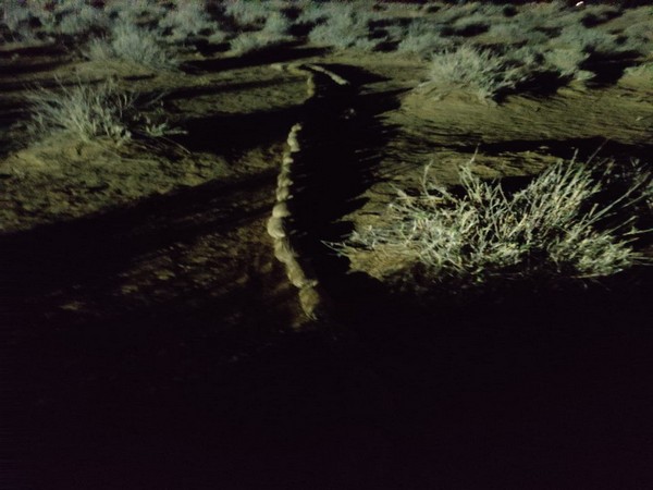 Visual from the site. (Photo: Twitter @BSF_Rajasthan)