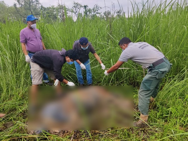 Carcass of a male Royal Bengal Tiger