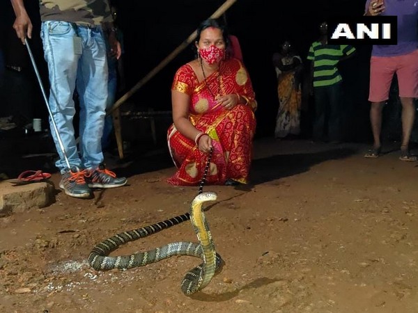 Sasmita Gochhait with the king cobra she rescued. (Photo/ANI)