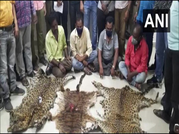 A visual of the arrested people along with skins of animals. (Photo/ANI)