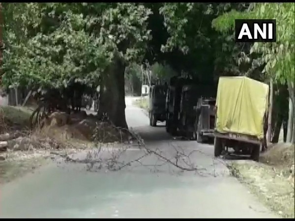 Two unidentified terrorists were neutralised by security forces in Kwarigam, Ranipora area of Anantnag on Saturday. [Photo/ANI]