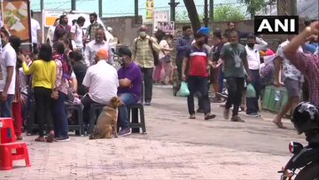 Crowds gather in Kasauli. (Photo/ANI)