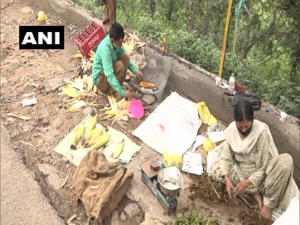 Krishna Devi at MH Chowk in Udhampur selling corn and fiddhead ferns. (Photo/ANI)