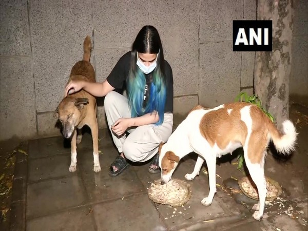 Vibha Tomar feeding dogs (Photo/ANI)