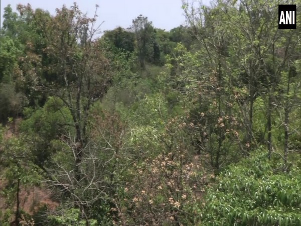 Visuals from Sagar in Shivamogga district of Karnataka (ANI) 