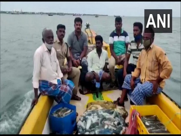 Mandapam Forest Department seized boat with 500 kg sea cucumber (Photo/ANI)