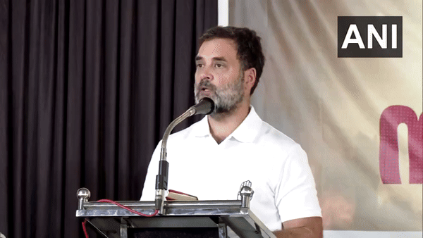 Rahul Gandhi criticises PM over his act of touching Consitution (Image/ ANI)