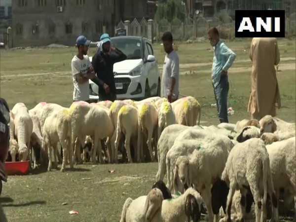 Animal market set up in Srinagar's Eid Gah area (Photo/ANI)