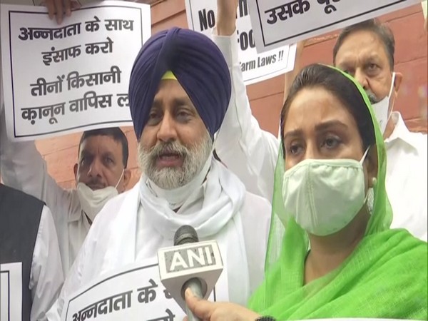 Shiromani Akali Dal leaders Sukhbir Singh Badal and Harsimrat Kaur Badal (Photo/ANI)