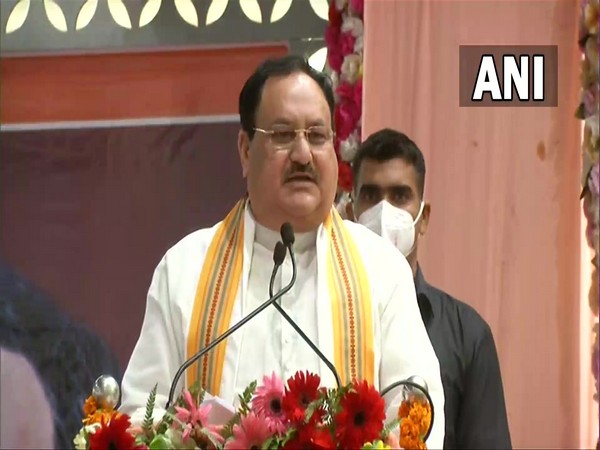 BJP National President JP Nadda (Photo/ANI)