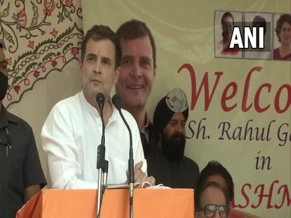 Rahul Gandhi addressing the party workers in Srinagar (Photo/ANI)