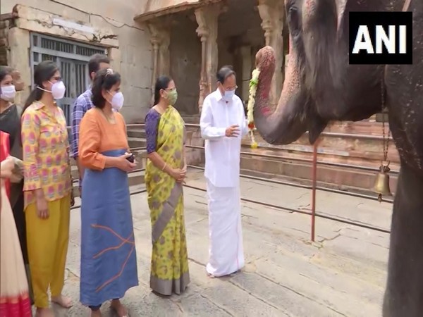 Elephant garlanding VP Venkaiah Naidu at Virupaksha temple (Photo/ANI)