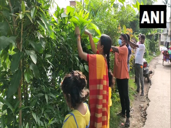 People in Paschim Medinipur, West Bengal tie rakhis to trees