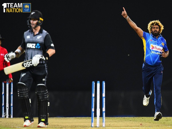 Lasith Malinga celebrating the wicket of Kiwi opener Colin Munro in the first T20I (Photo/ Sri Lanka Cricket Twitter)