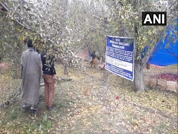 ED has confiscated 2 orchards in Anantnag under Prevention of Money Laundering Act. Photo/ANI