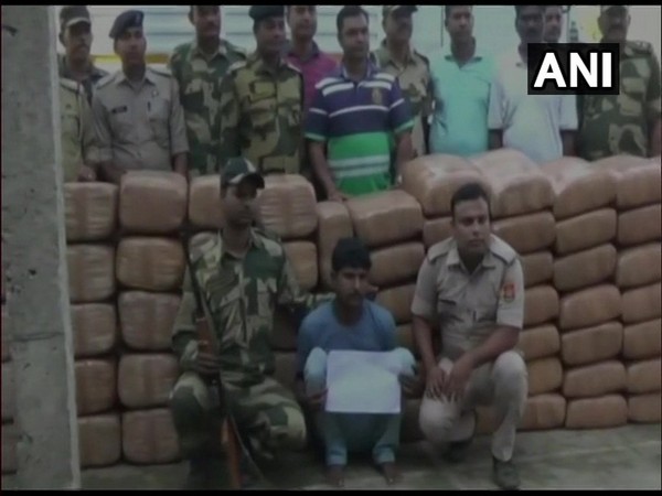 A truck was seized with 818 kg cannabis in Tripura. Photo/ANI