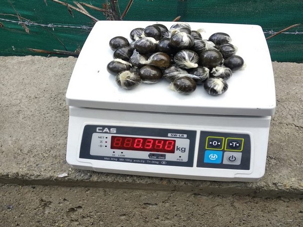 Himachal Pradesh: Six people were arrested in possession of cannabis at Dunkhra Chowk in Kullu. 