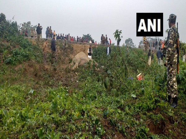 Two elephants have been killed after being hit by a passenger train near Batasi in Darjeeling, earlier today. [Photo/ANI]