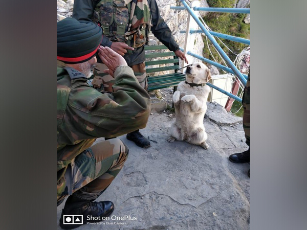 Dog 'Menaka' saluting the Chinar Corps Commander (Photo tweeted by enn gee ess, @nee_el)