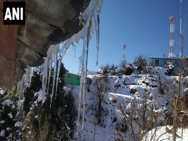 Icicles formed in Baldeyan area of Shimla due to continuing cold weather conditions. Photo/ANI