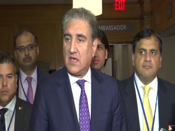 Pakistani Foreign Minister Shah Mahmood Qureshi (File photo)