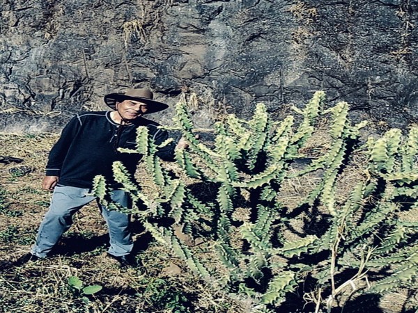 Veteran actor Dharmendra