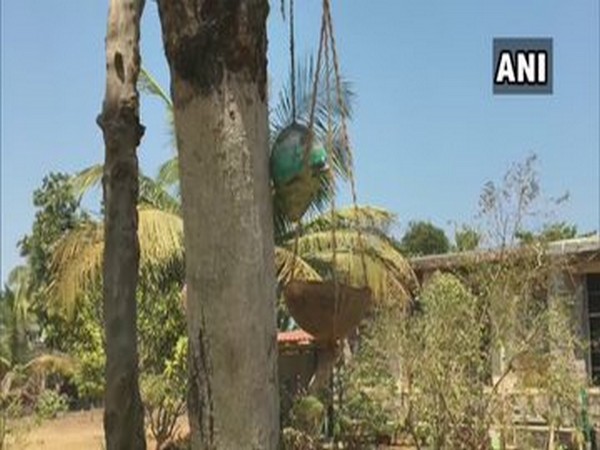 Shells on trees to provide food and water for birds